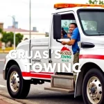 Gruas Solis Towing Llc